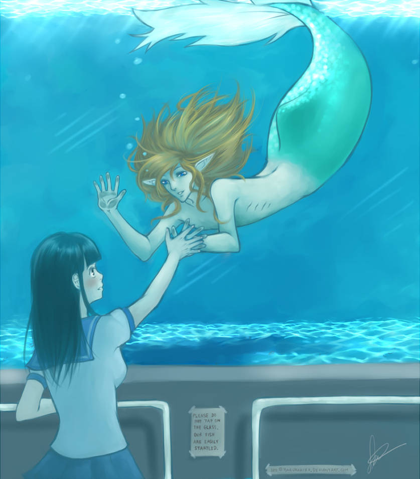 Aquarium Romance