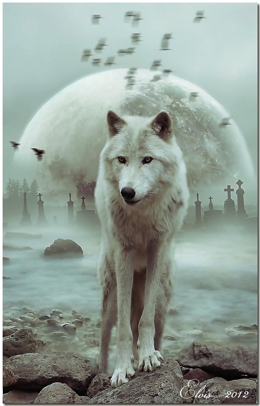 King of wolves