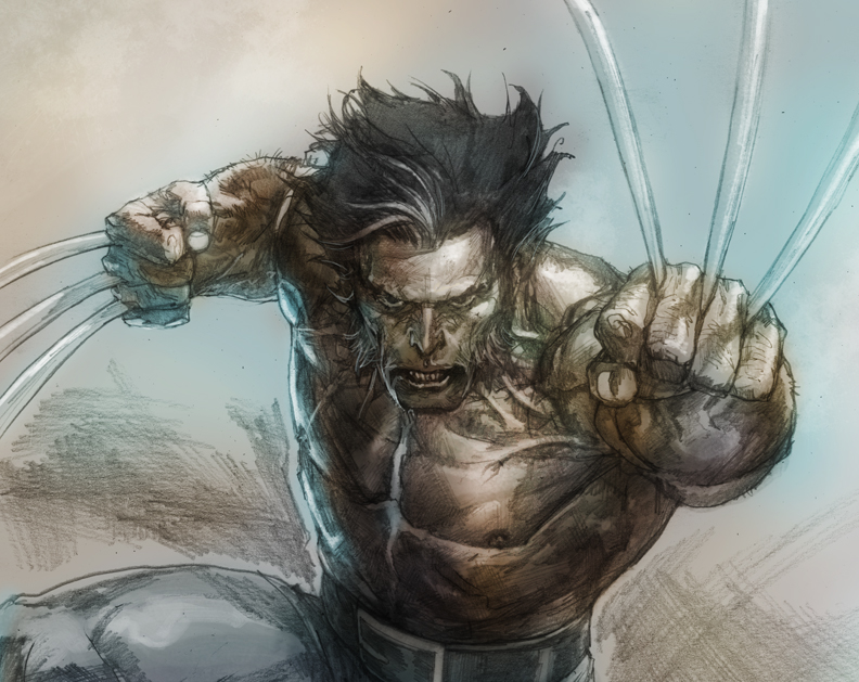 wolverine sketch