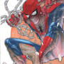 Spidey cover commish
