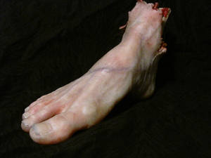 Severed Foot 2