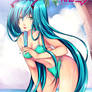 Hatsune__Miku_____Summer