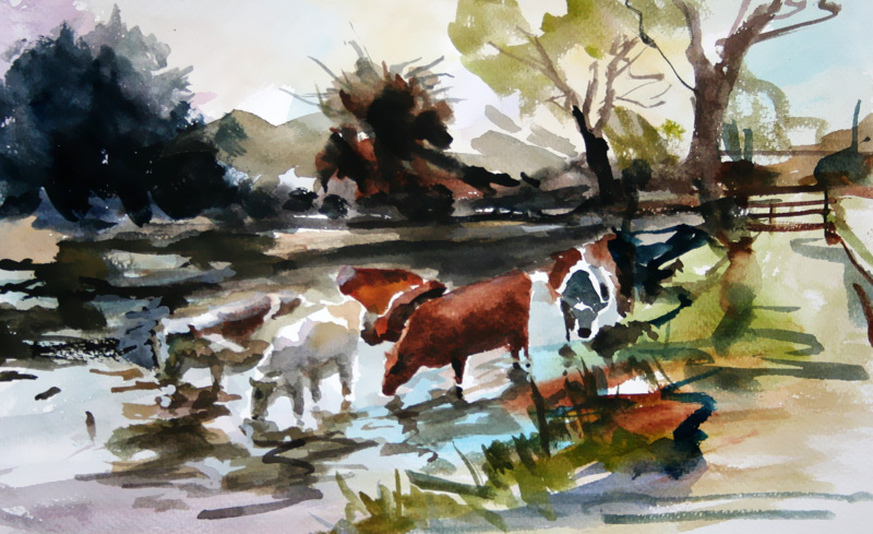 Cows 2