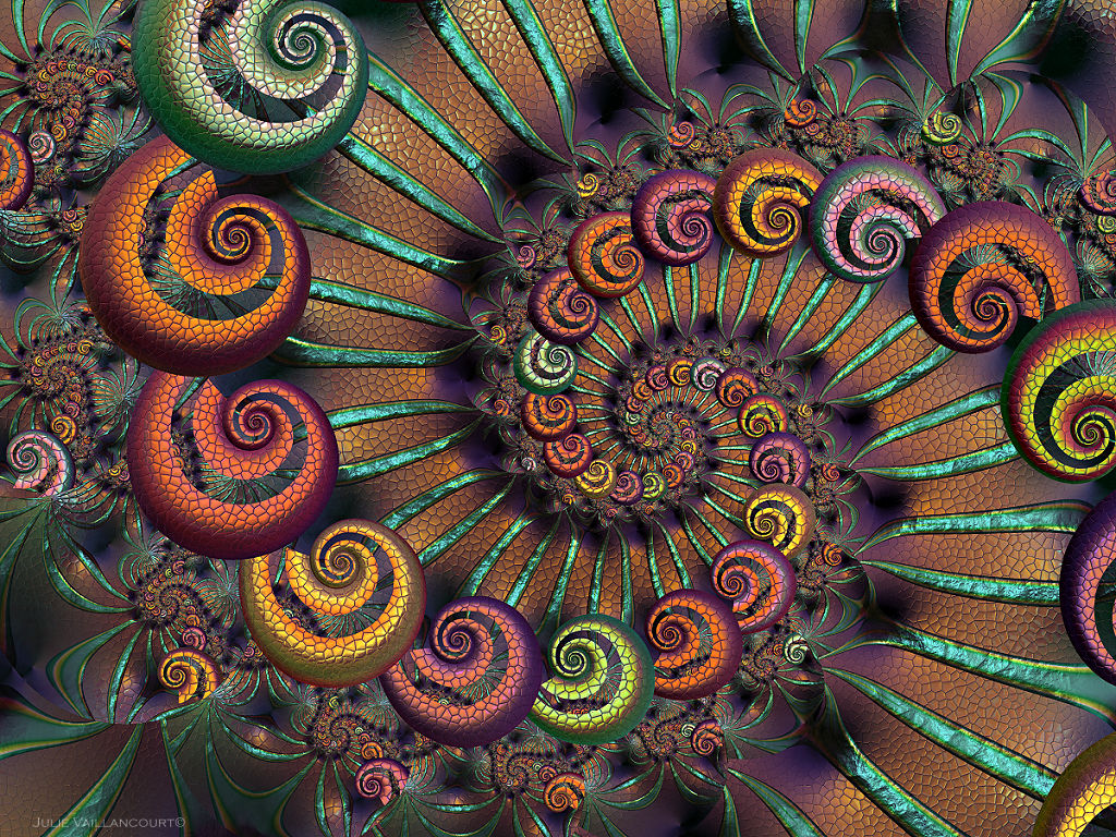 Snake Shells by PrettyJu on DeviantArt