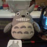 My Totoro Plushie!!!