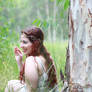 fairy forest 1