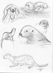 Life Drawing - Otters