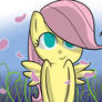 Filly Fluttershy