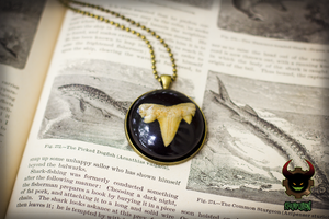 Shark Bite - Shark Tooth Fossil Resin Pendant