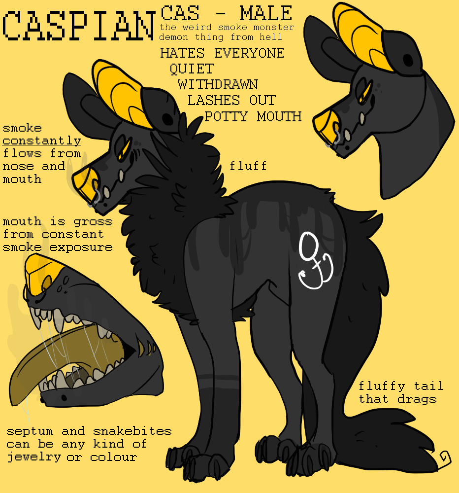 captain caspian reference january 2014