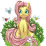MLPFIM - Fluttershy