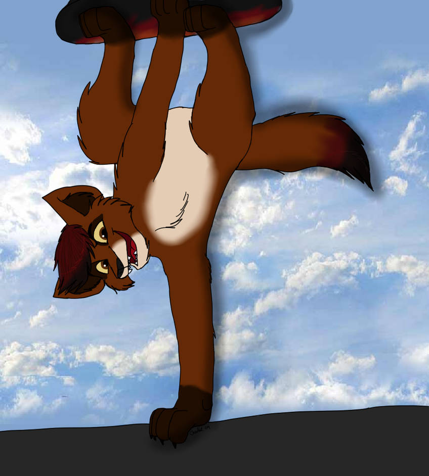 Skater Wolf by Charlie-Breen