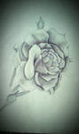 Rose by SunnySolarSunshine