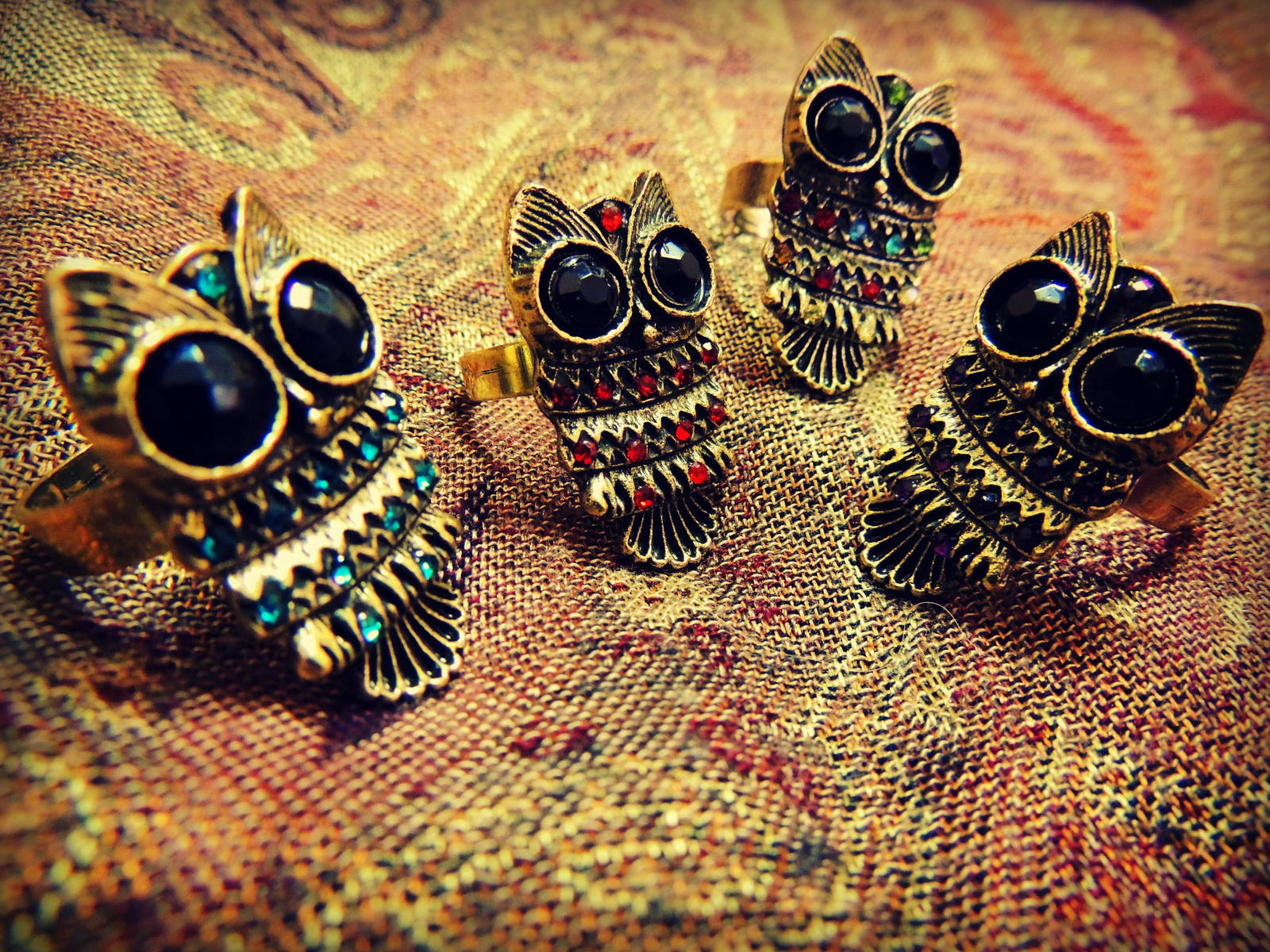 Owl Rings 1
