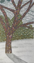 Tree in the Snow 6.3.24