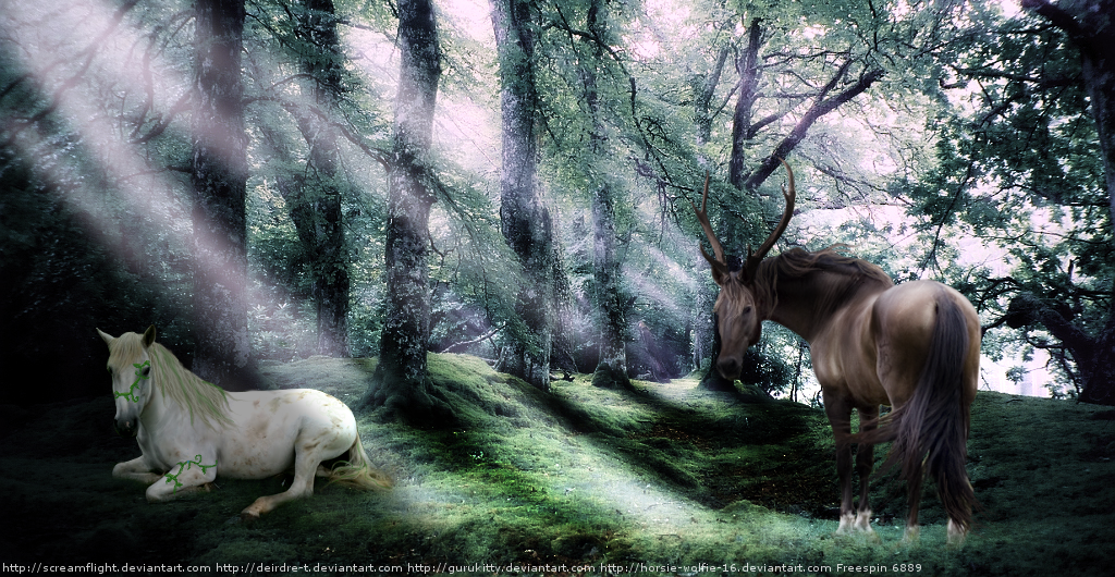 Forest Ponies