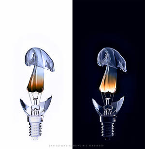 lightning bulb duo