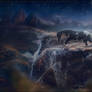 Nightfall