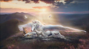 I Shall be Whiter than Snow