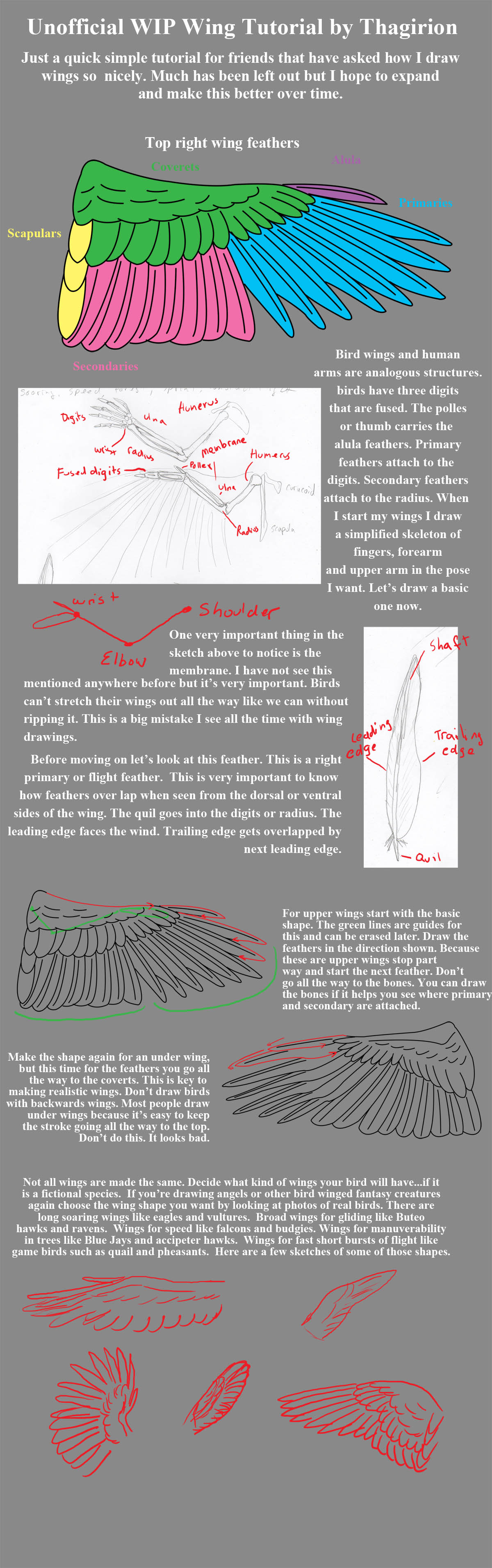 Very Basic Wing Tutorial