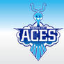 Fortree City Aces