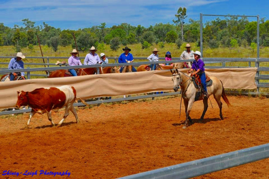 Campdrafting by Shiney-LeighPhotos on DeviantArt