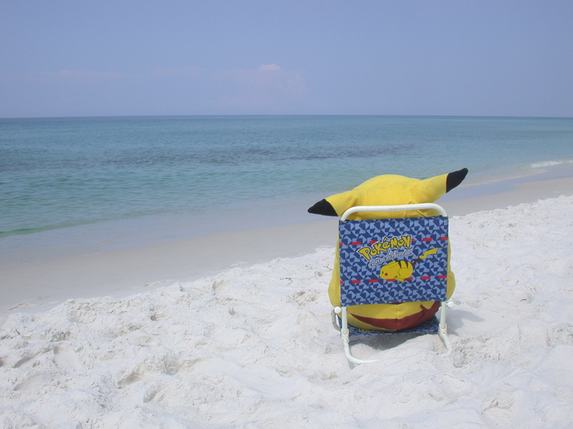 Pika watching the sea