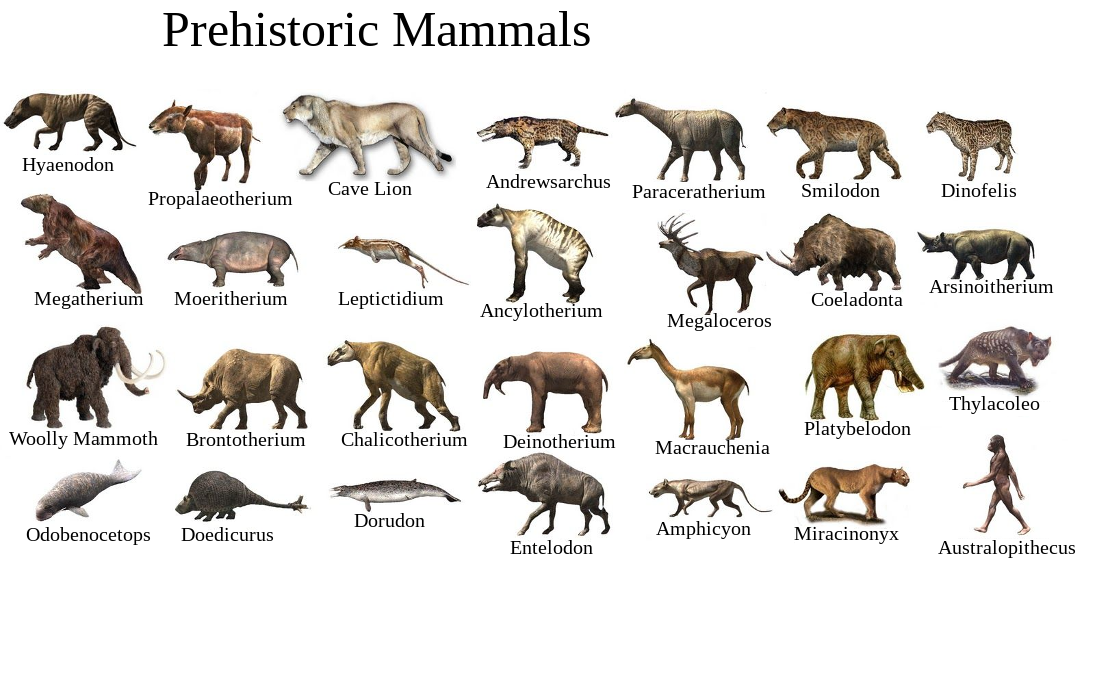 Prehistoric Mammal List by UnderISThunder112 on DeviantArt Prehistoric Mammal List by UnderISThunder112 on DeviantArt