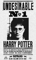 Harry Potter : Undesirable No 1