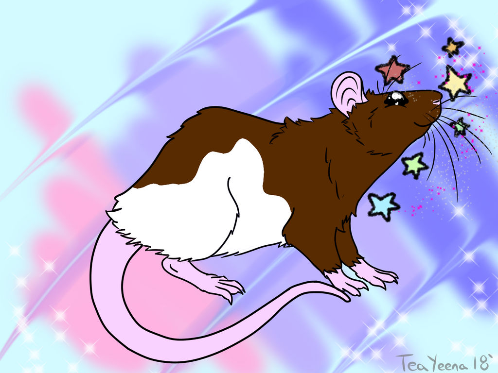 Star Rattin Star Ratto by EyonSplicer on DeviantArt