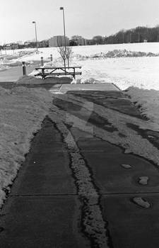 Sidewalk Ice