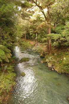 Whangarei stream