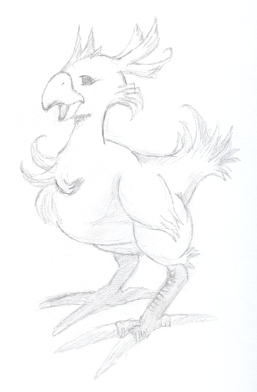 Chocobo Sketch