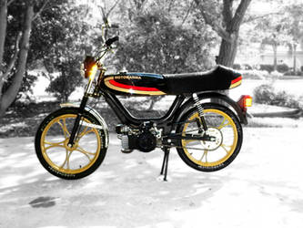 Motomarina Moped