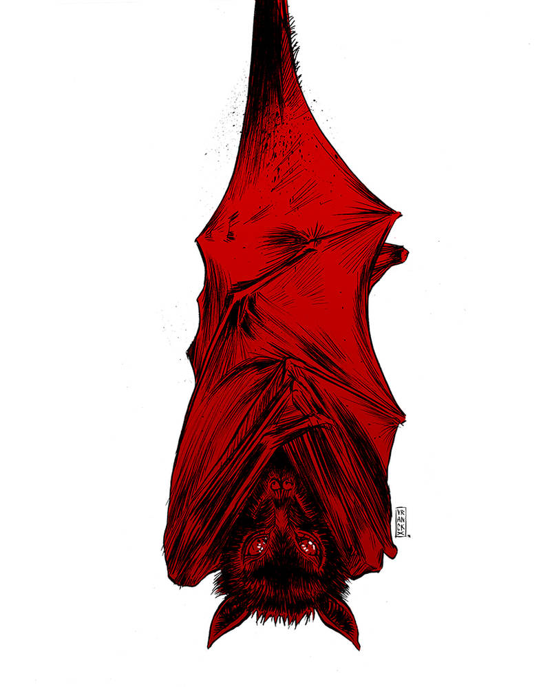 Red bat by Vranckx on DeviantArt