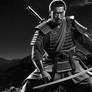 Seven Samurai (1954)