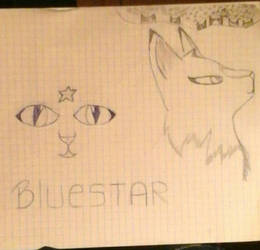 my rough draft of bluestar 