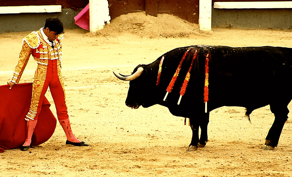 Bullfight in Las Ventas