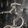 The Metal Standing Alien