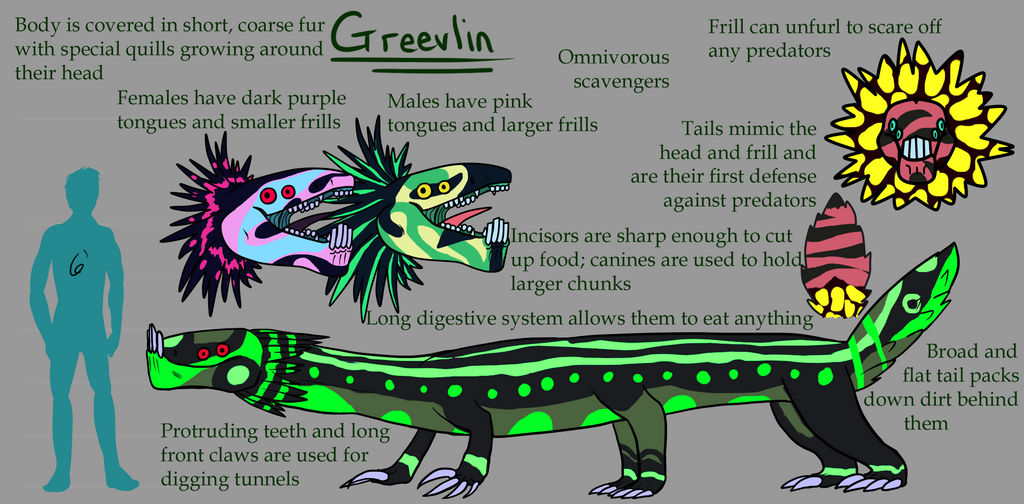 Greevlin Species Info