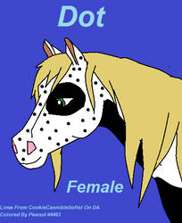 Dot The Horse