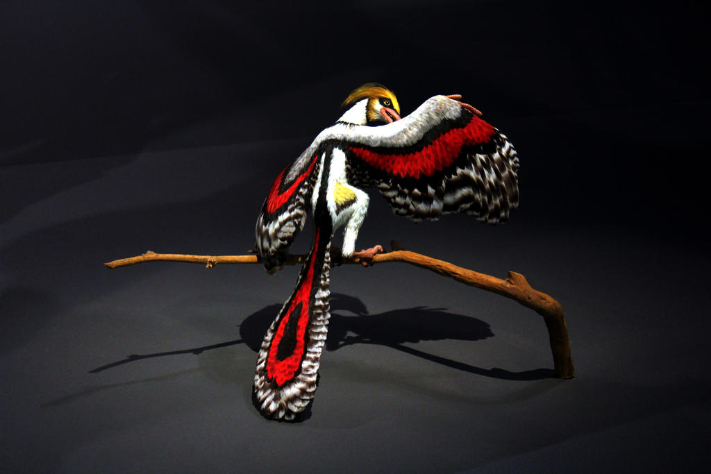 Bird Evolution Deviantart Prehistoric bird.. by renedox on DeviantArt
