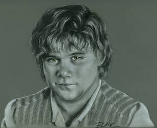 Samwise the Brave