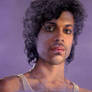 Prince Tribute