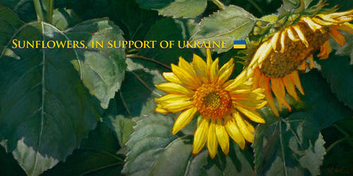 Sunflower Solidarity