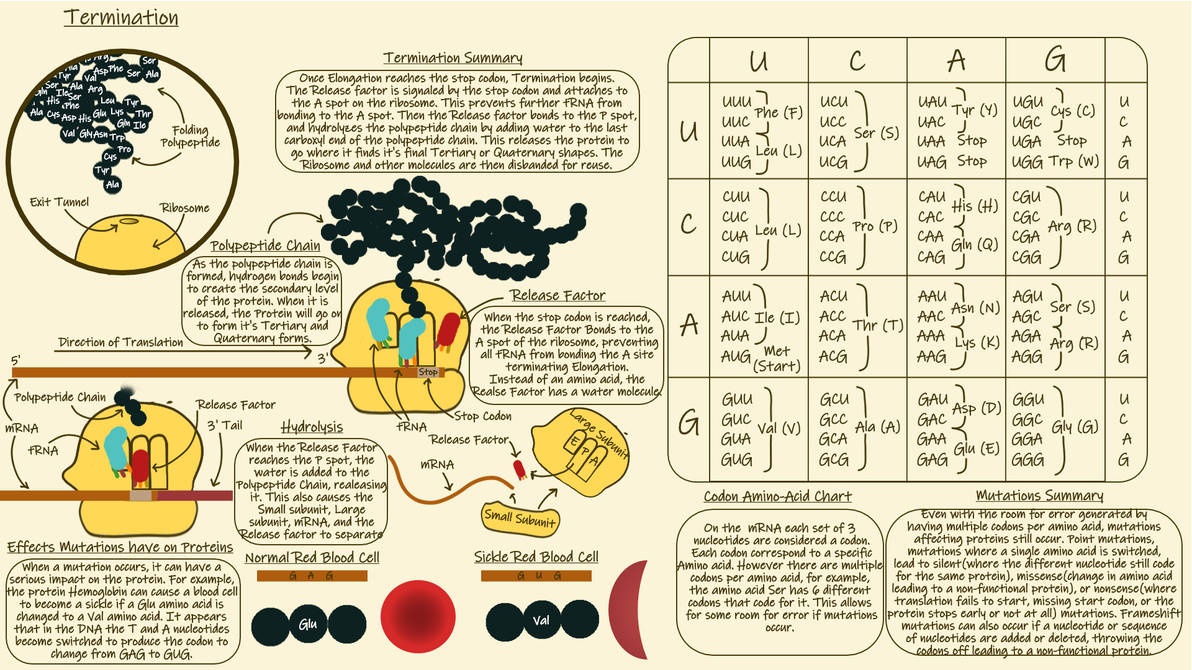 (Biology Project) Translation Detail Page 2 by Mamoochka on DeviantArt