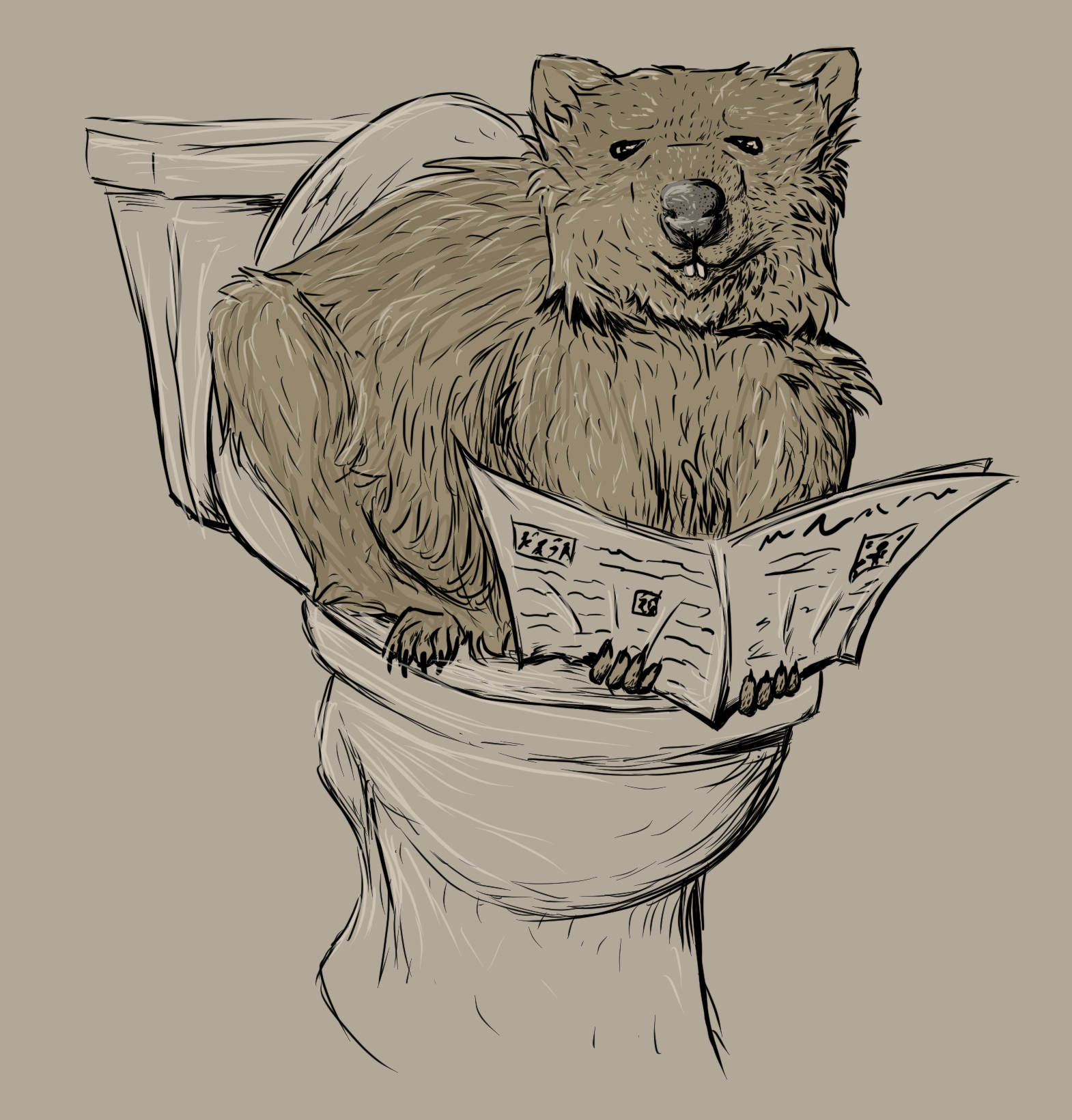Wombat Pooping by Mamoochka on DeviantArt