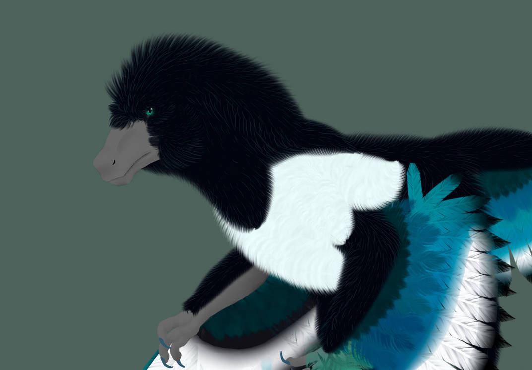 Floofy Utah Raptor Fluffy Raptor by Mamoochka on DeviantArt