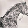 Horse pencil 11X8