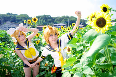sunflower Kagamine